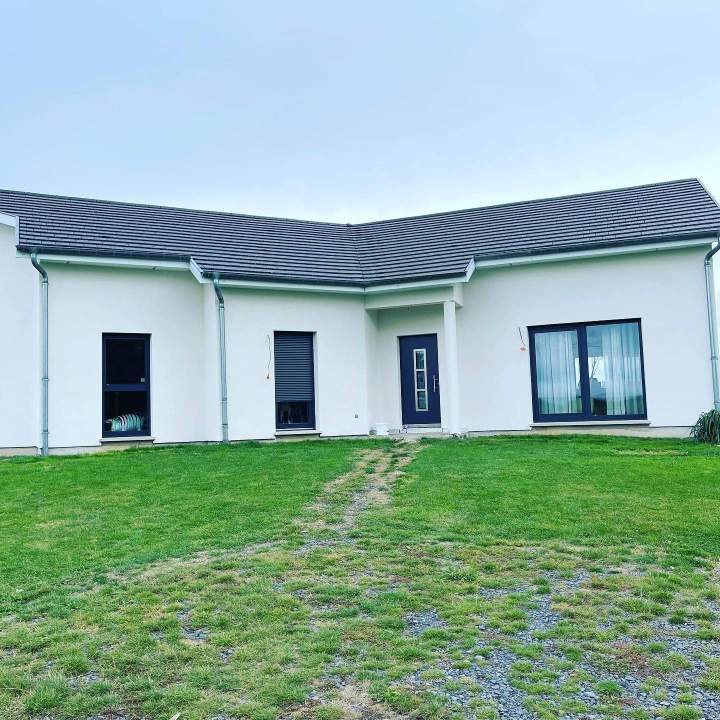 Embellissement et protection murs extérieurs Sarrebourg